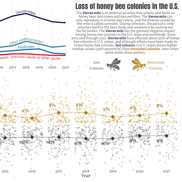 2022 Semana 02 - Bee Colony losses 🐝